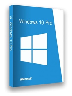 Windows 10 Professional (64-bit) v1909 - Untouched torrent